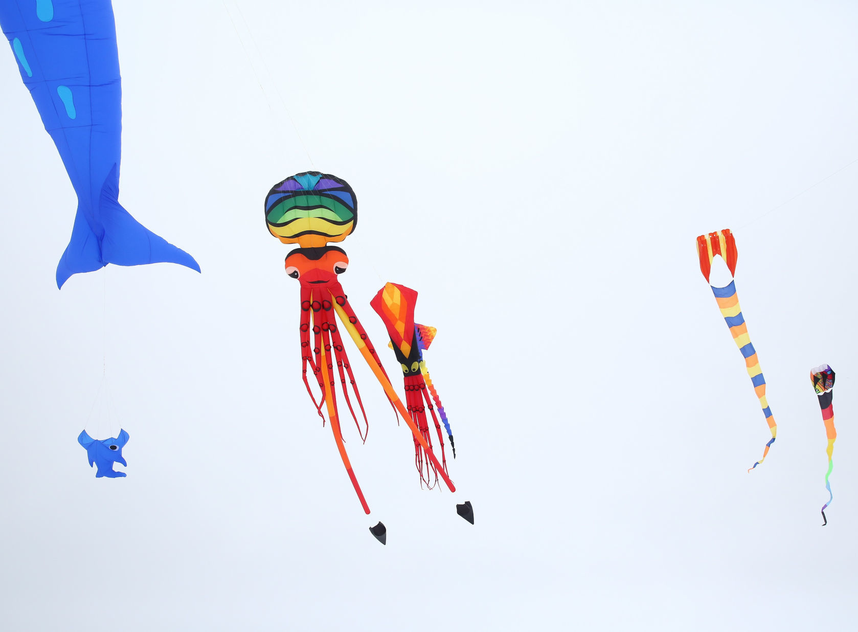 Color the Wind 21